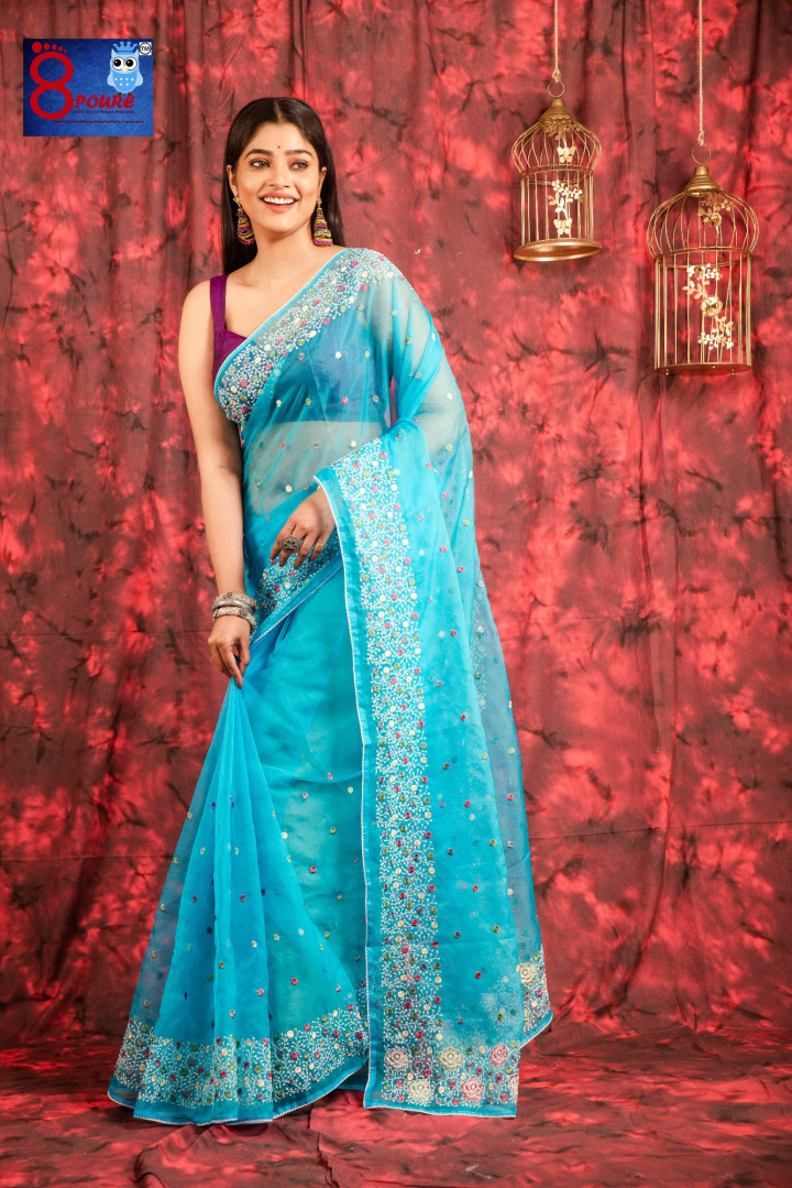 Organza Embroidered Saree | PEC 21